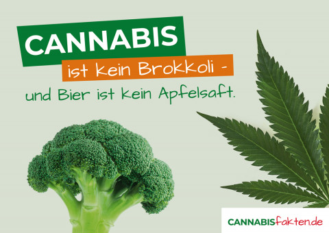 Bild für cannbisfakten.de mit der Aufschrift: Cannabis ist kein Brokkoli und Bild kein Apfelsaft.