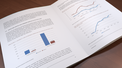 Broschüre zur Haucap-Studie.